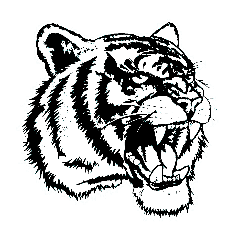 Tiger Titanium logo